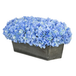 Blue hydrangeas in rectangular grey ledge on white background