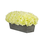 Green hydrangeas in rectangular grey ledge on white background
