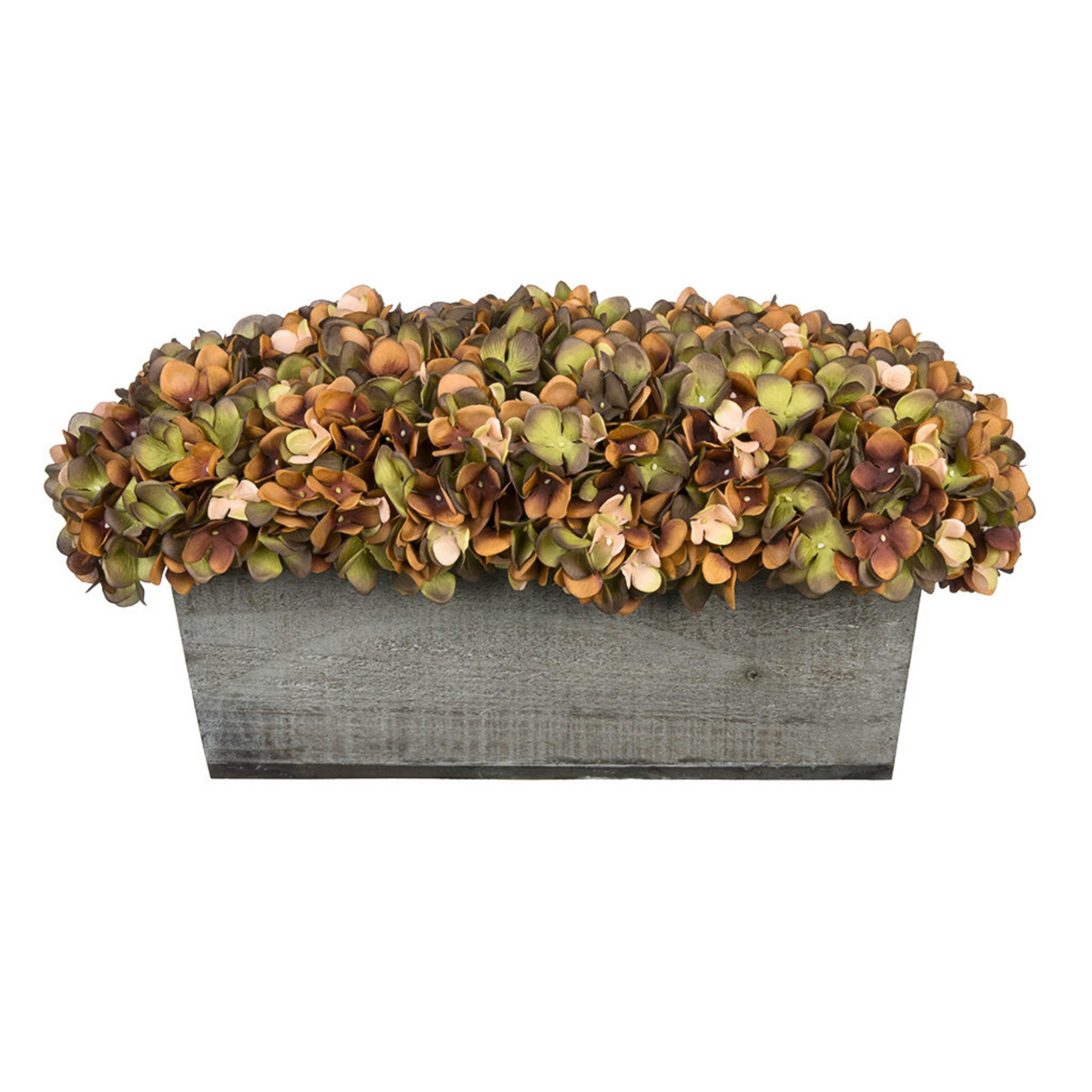 Coffee hydrangeas in rectangular grey ledge on white background