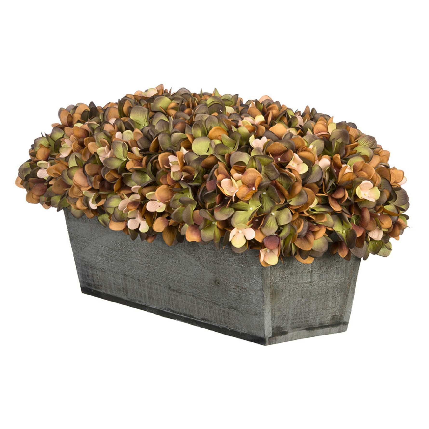 Coffee hydrangeas in rectangular grey ledge on white background