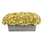 Sage hydrangeas in rectangular grey ledge on white background