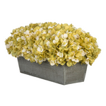 Sage hydrangeas in rectangular grey ledge on white background