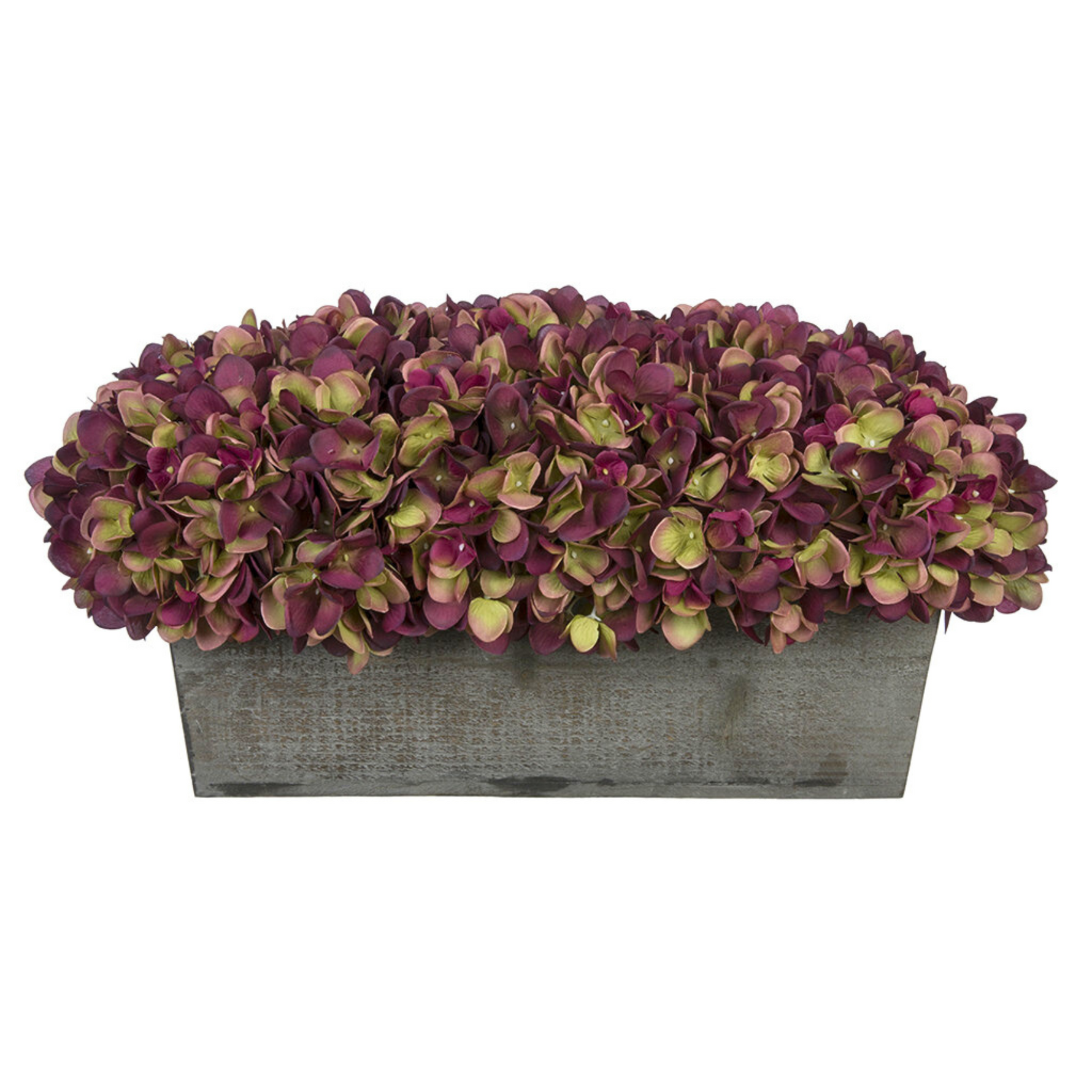 Plum hydrangeas in rectangular grey ledge on white background