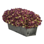 Plum hydrangeas in rectangular grey ledge on white background