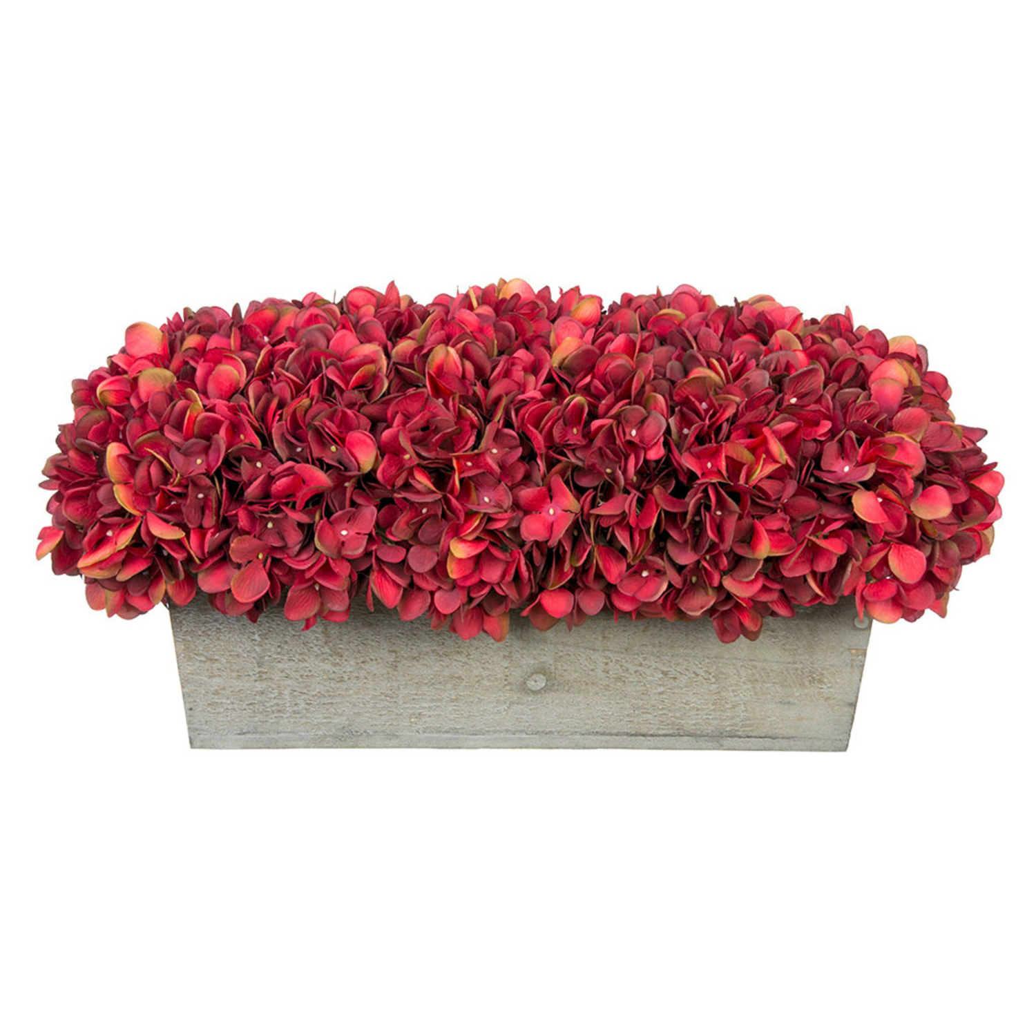 Rectangular planter with red hydrangea in grey wood planter on white background