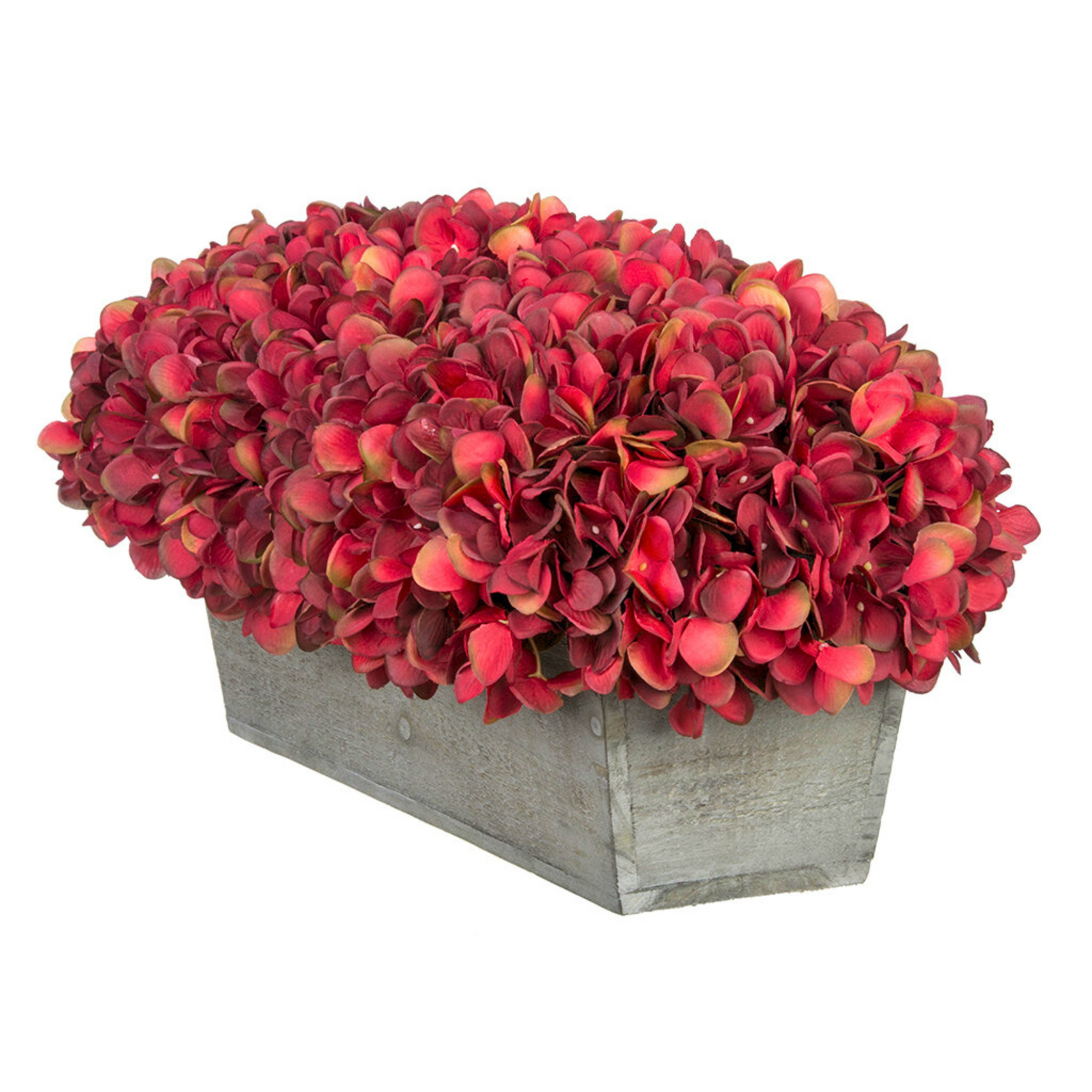 Rectangular planter with red hydrangea in grey wood planter on white 