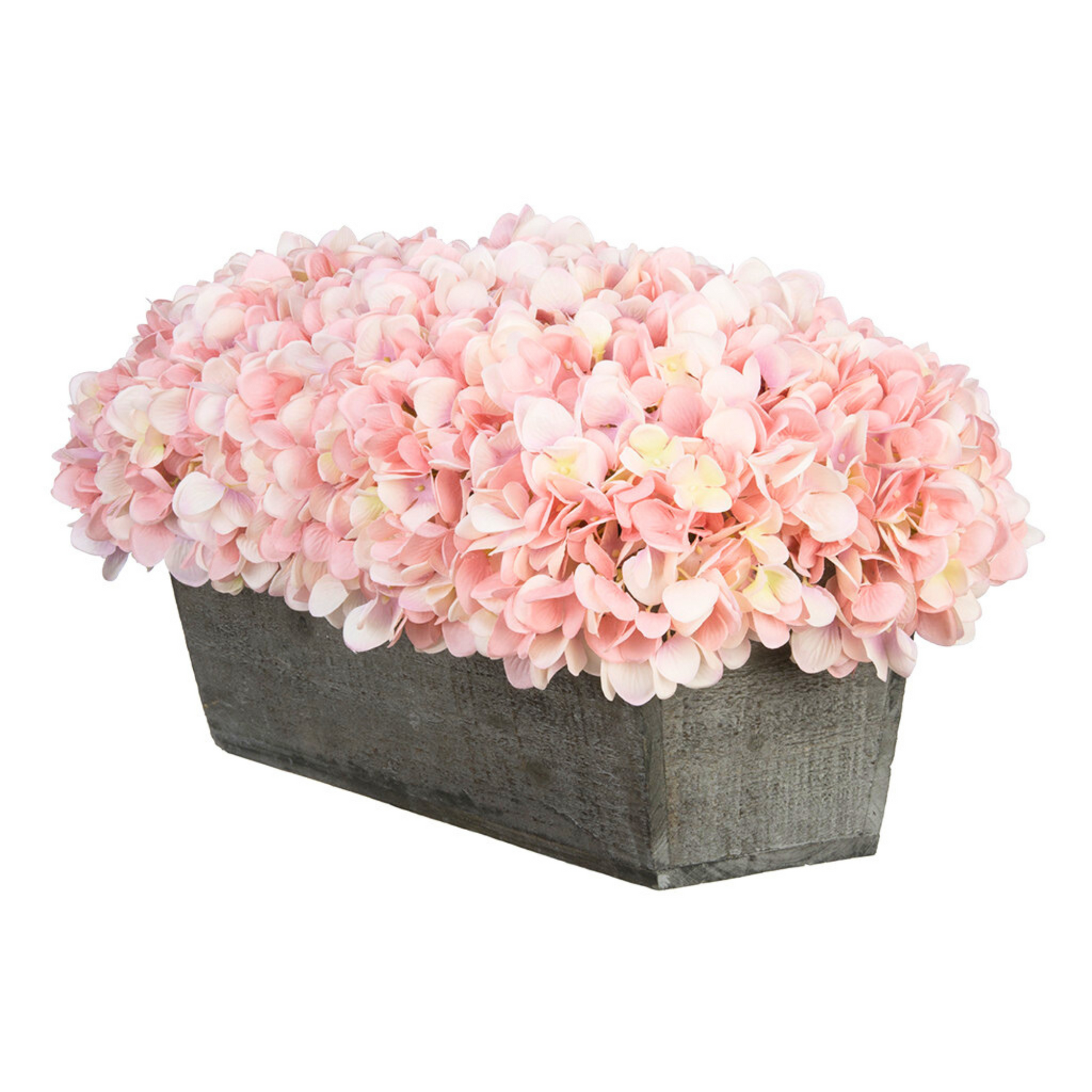 Pink hydrangeas in rectangular grey wooden ledge on white background
