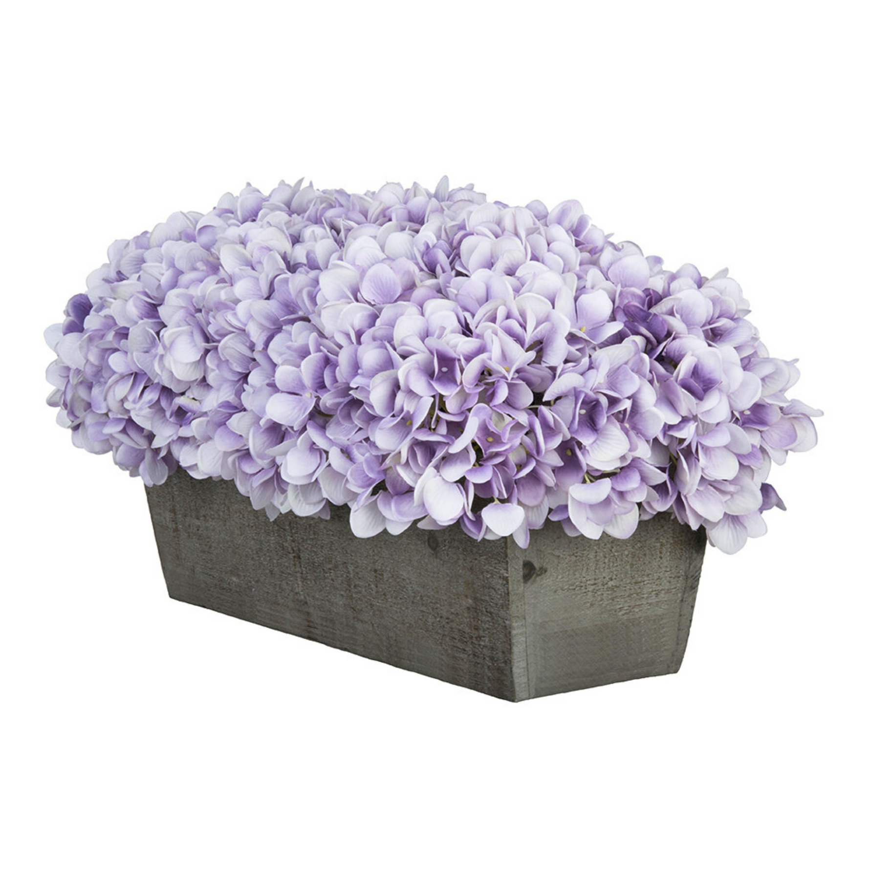 Violet hydrangeas in rectangular grey ledge on white background