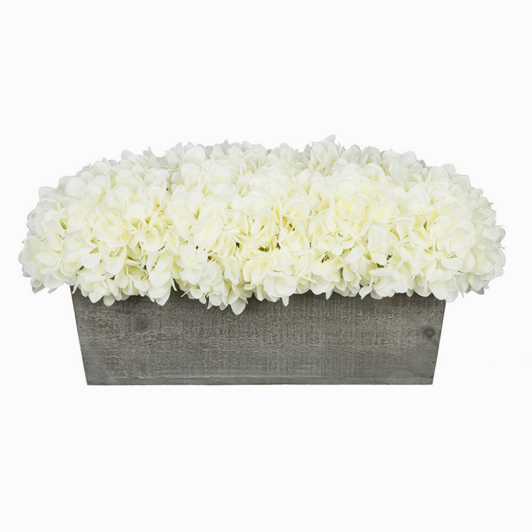 White hydrangeas in a grey wooden planter on a white background