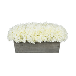 White hydrangeas in a grey wooden planter on a white background