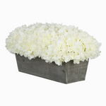 White hydrangeas in a grey wooden planter on a white background