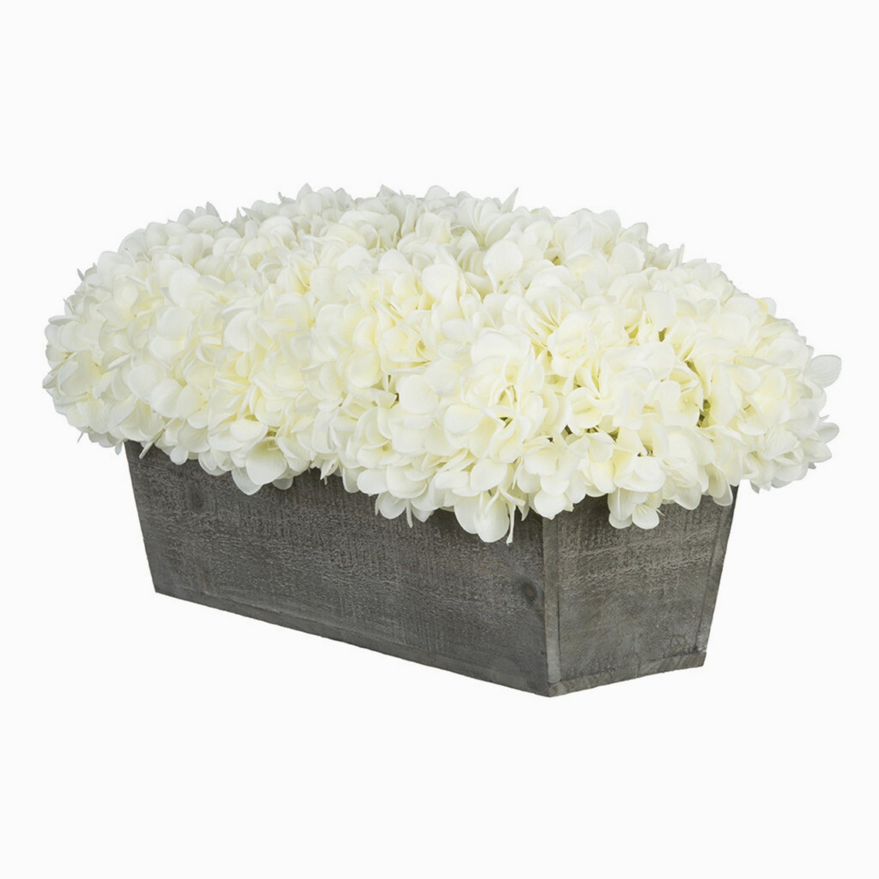White hydrangeas in a grey wooden planter on a white background