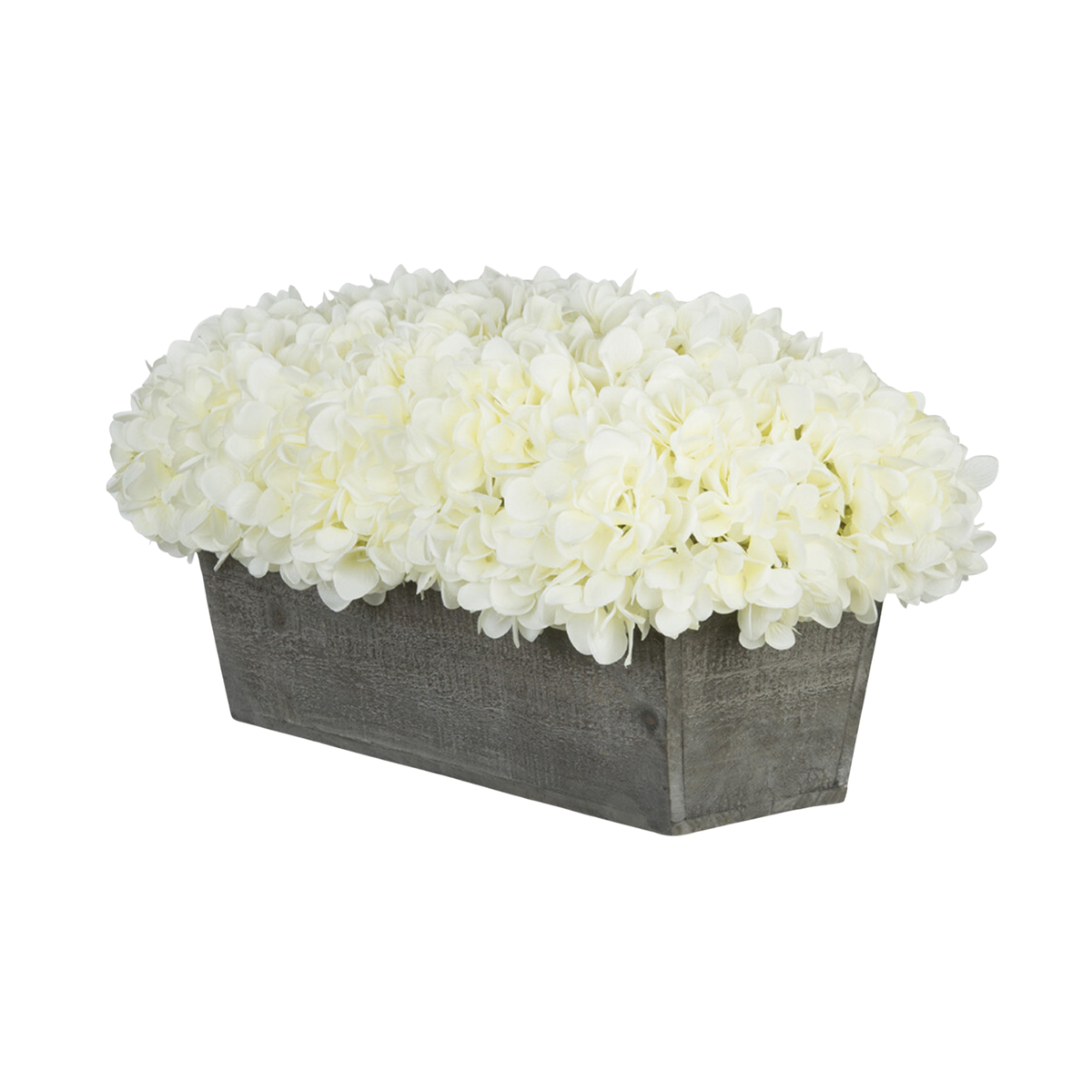 White hydrangeas in a grey wooden planter on a white background