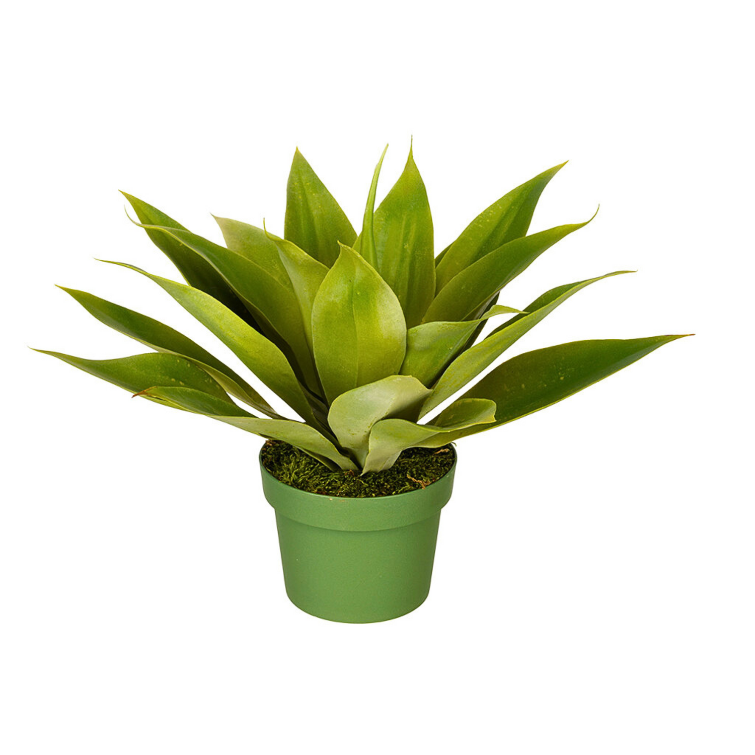 Small Agave House of Silk Flowers®