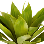 Close-up of Small Agave House of Silk Flowers®