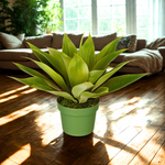 Small Agave House of Silk Flowers® environment