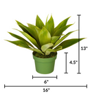 Small Agave House of Silk Flowers® measurements