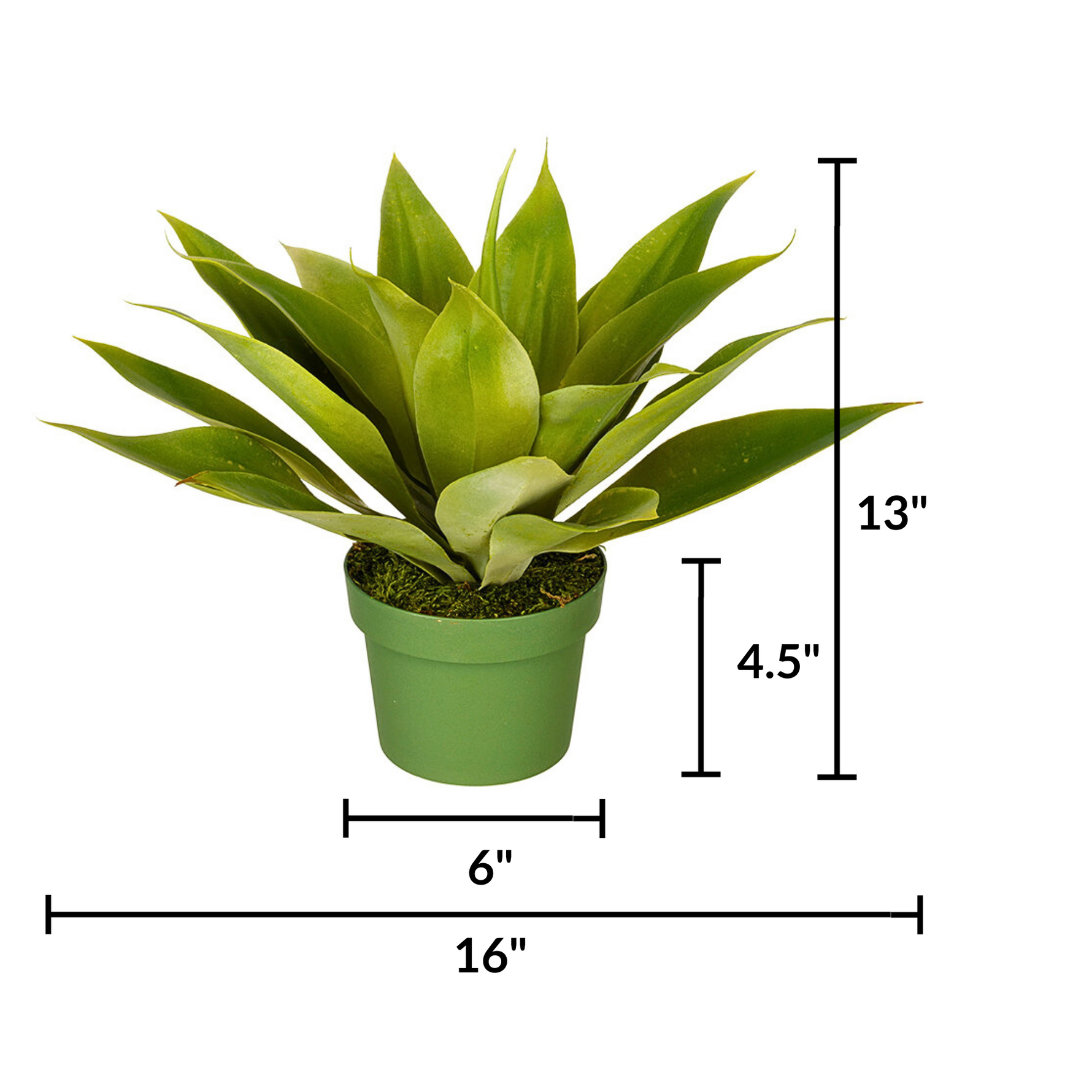 Small Agave House of Silk Flowers® measurements