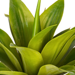 Close-up of Medium Agave House of Silk Flowers®