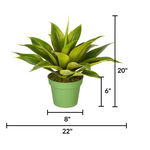 Medium Agave House of Silk Flowers® measurements