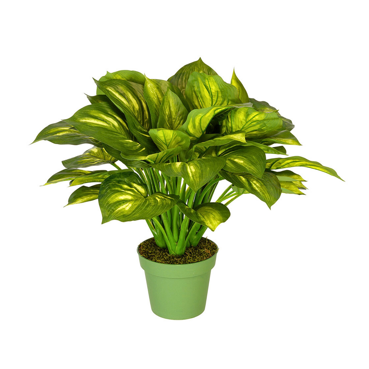 Artificial Large Hosta - House of Silk Flowers®
