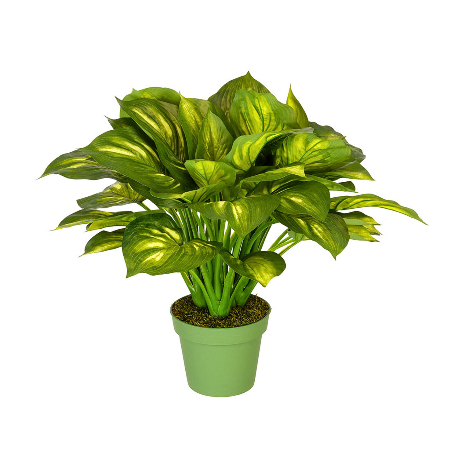 Artificial Large Hosta - House of Silk Flowers®
