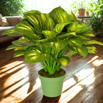 Artificial Large Hosta - House of Silk Flowers®