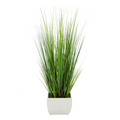Potted grass with long green leaves in a white pot on a white background