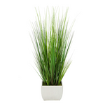 Potted grass with long green leaves in a white pot on a white background