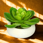 Artificial Echeveria in Washed Bowl Ceramic House of Silk Flowers® - 7