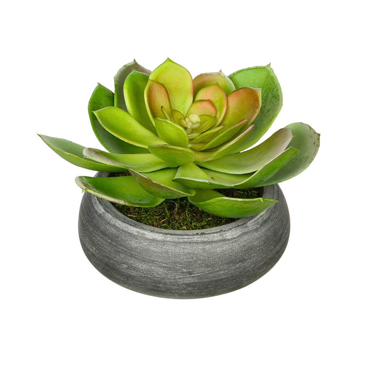 Artificial Echeveria in Washed Bowl Ceramic House of Silk Flowers® - 1