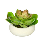 Artificial Echeveria in Washed Bowl Ceramic House of Silk Flowers® - 5
