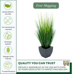 Faux Grass in Black Tapered Zinc Cube Promise