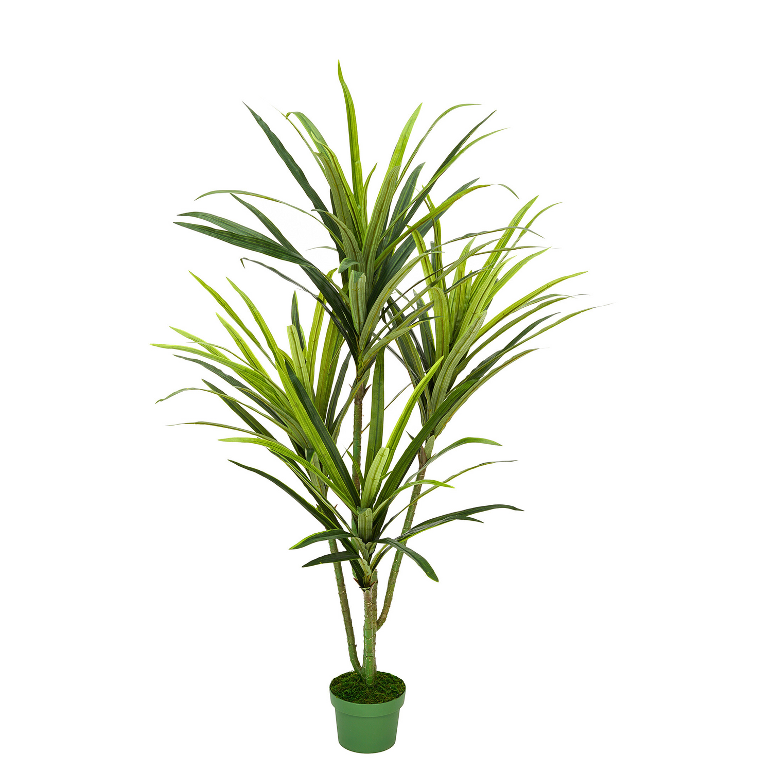 Faux 4ft Dracaena Tree with 4 Heads