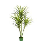 Faux 4ft Dracaena Tree with 4 Heads