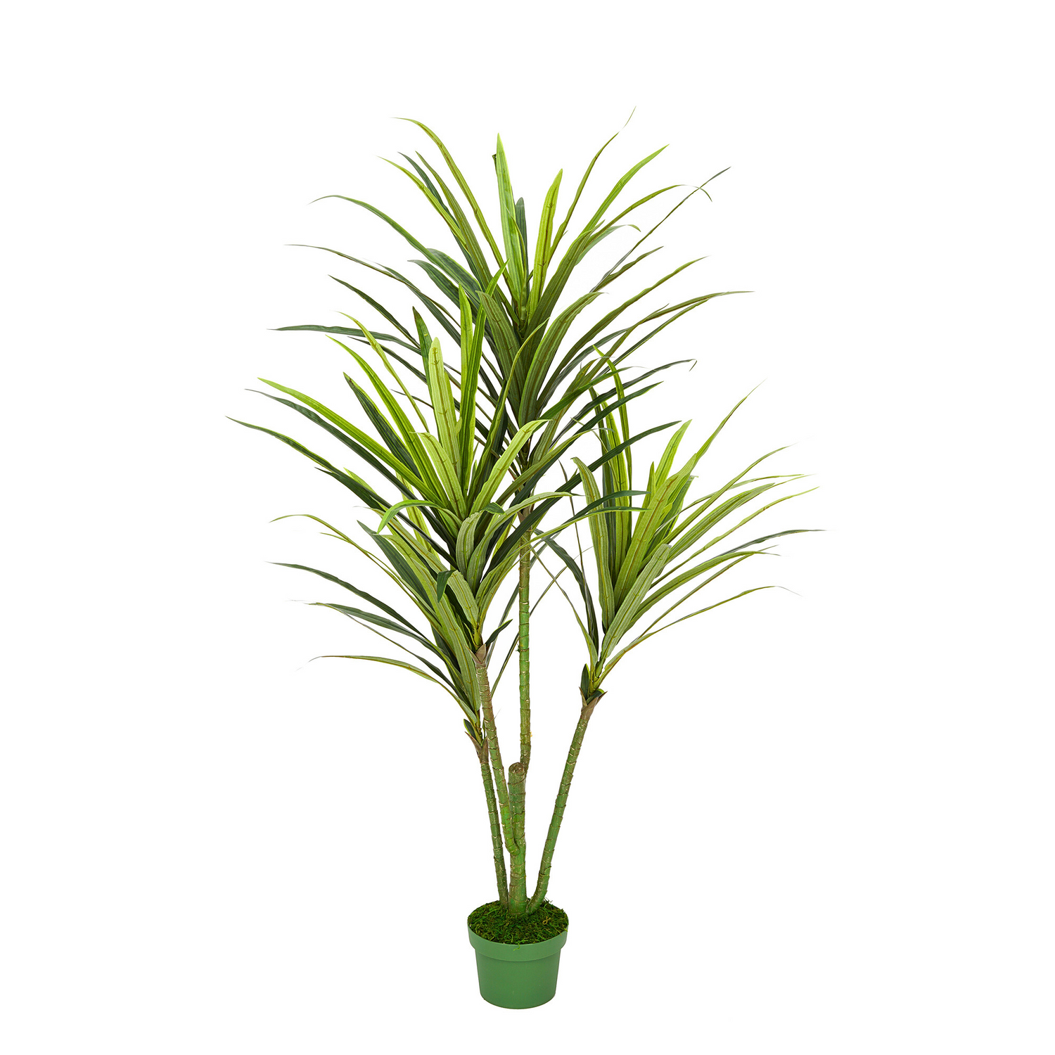 Faux 4ft Dracaena Tree with 4 Heads