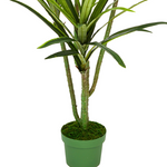 Faux 4ft Dracaena Tree with 4 Heads