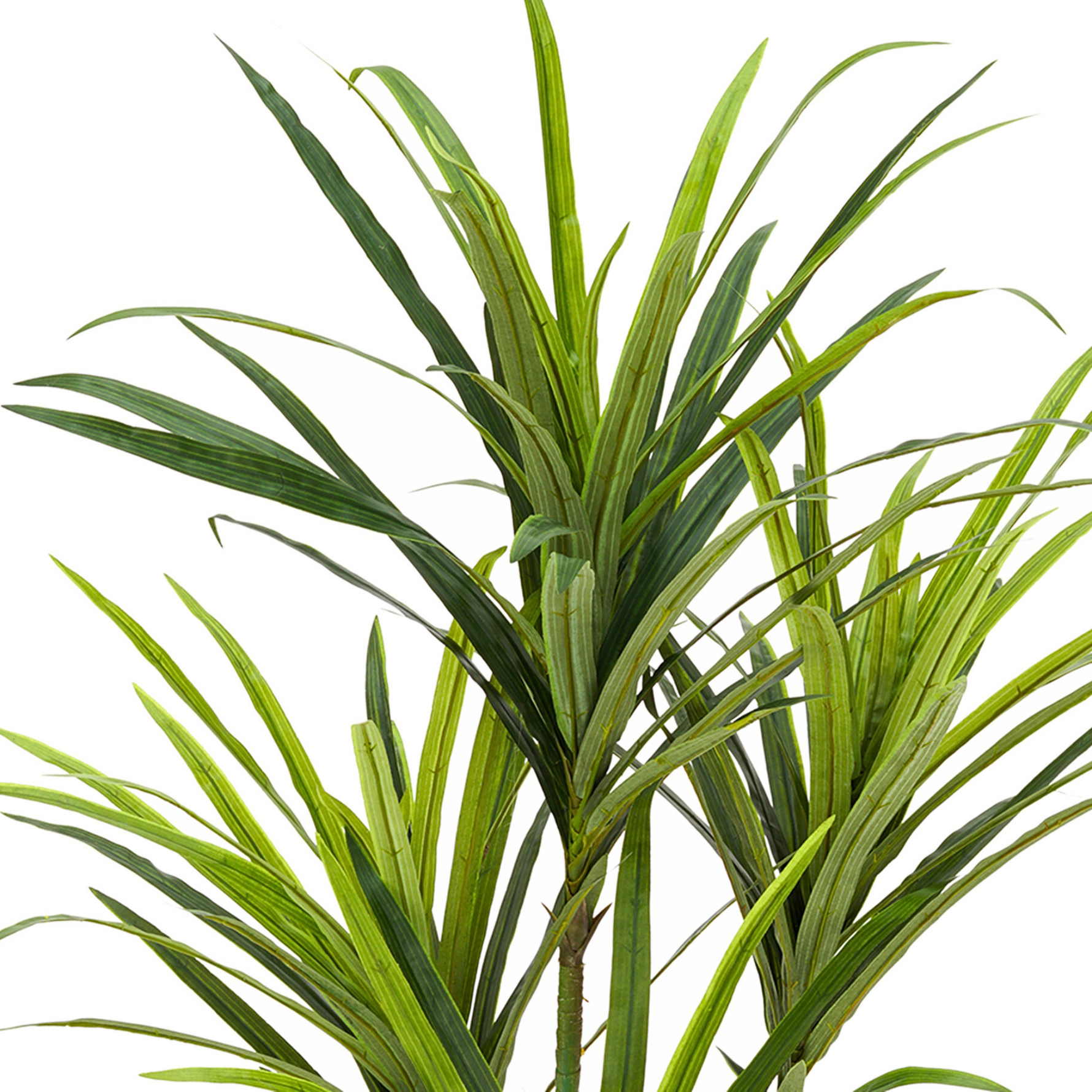 Faux 4ft Dracaena Tree with 4 Heads