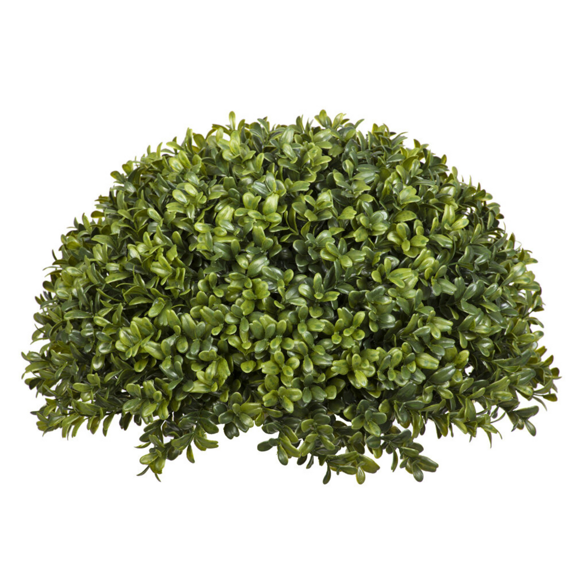 Artificial boxwood ball against a white background