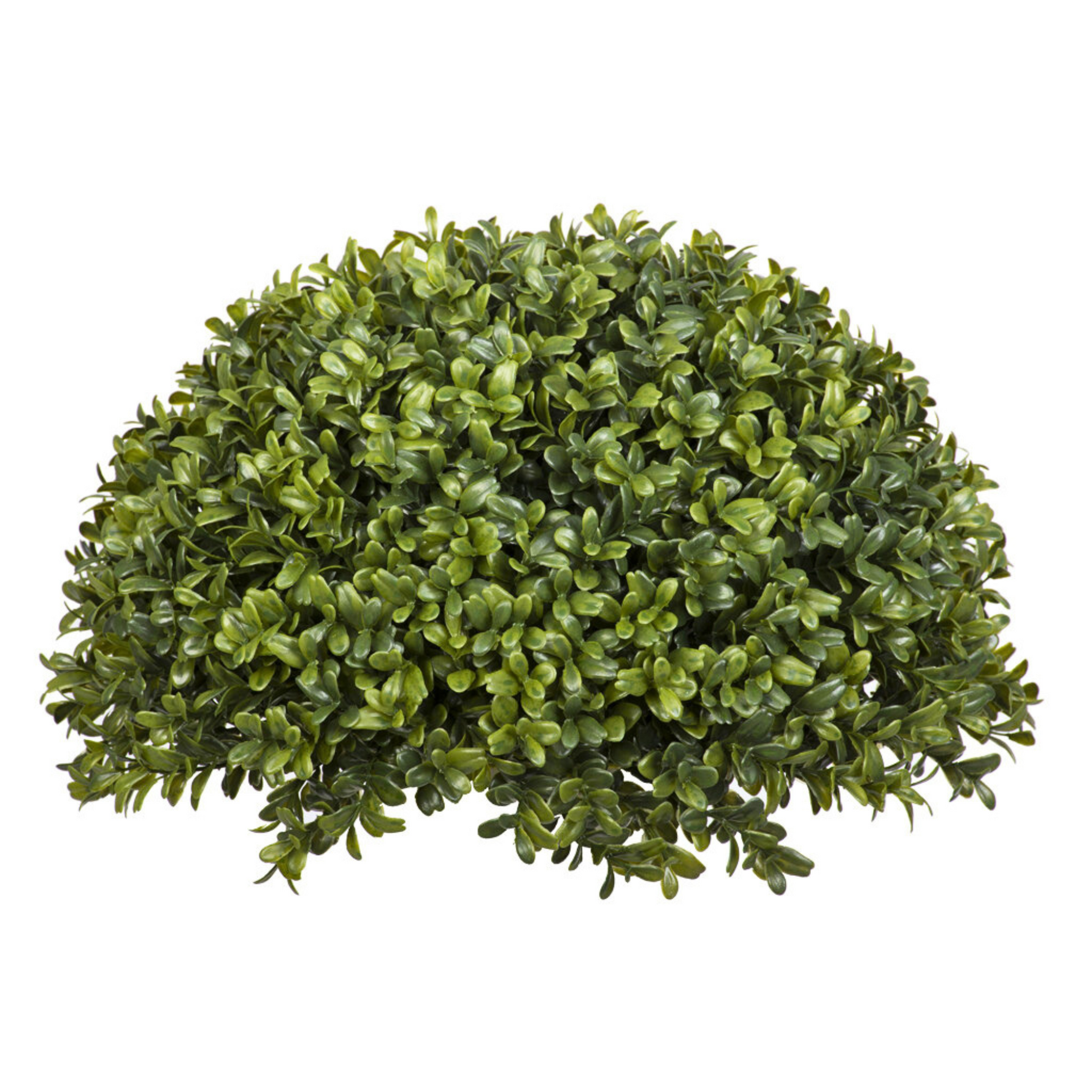 Artificial boxwood ball against a white background