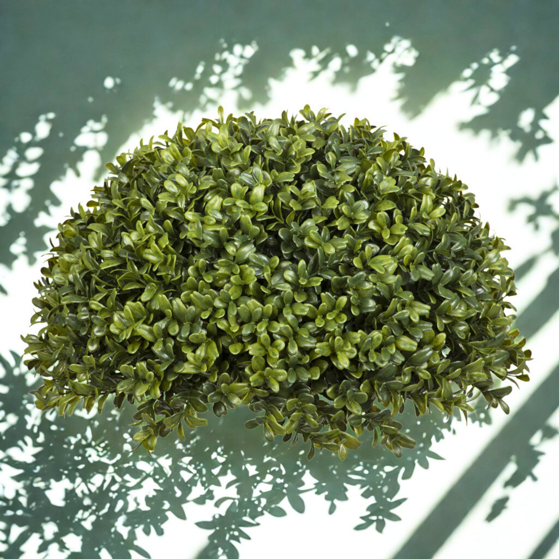 Artificial boxwood ball against a white background with diffused lighting