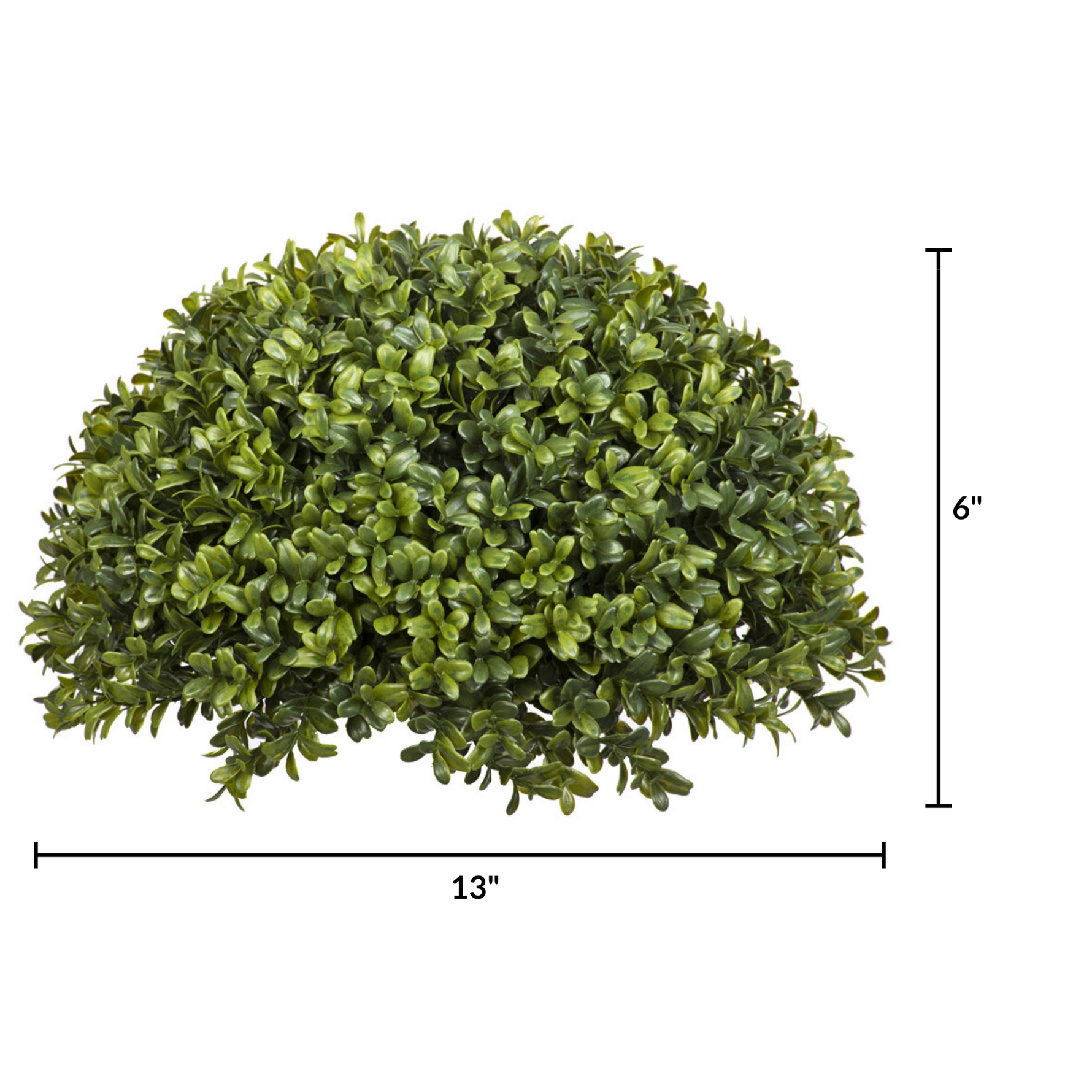 Artificial boxwood bush with dimensions on a white background