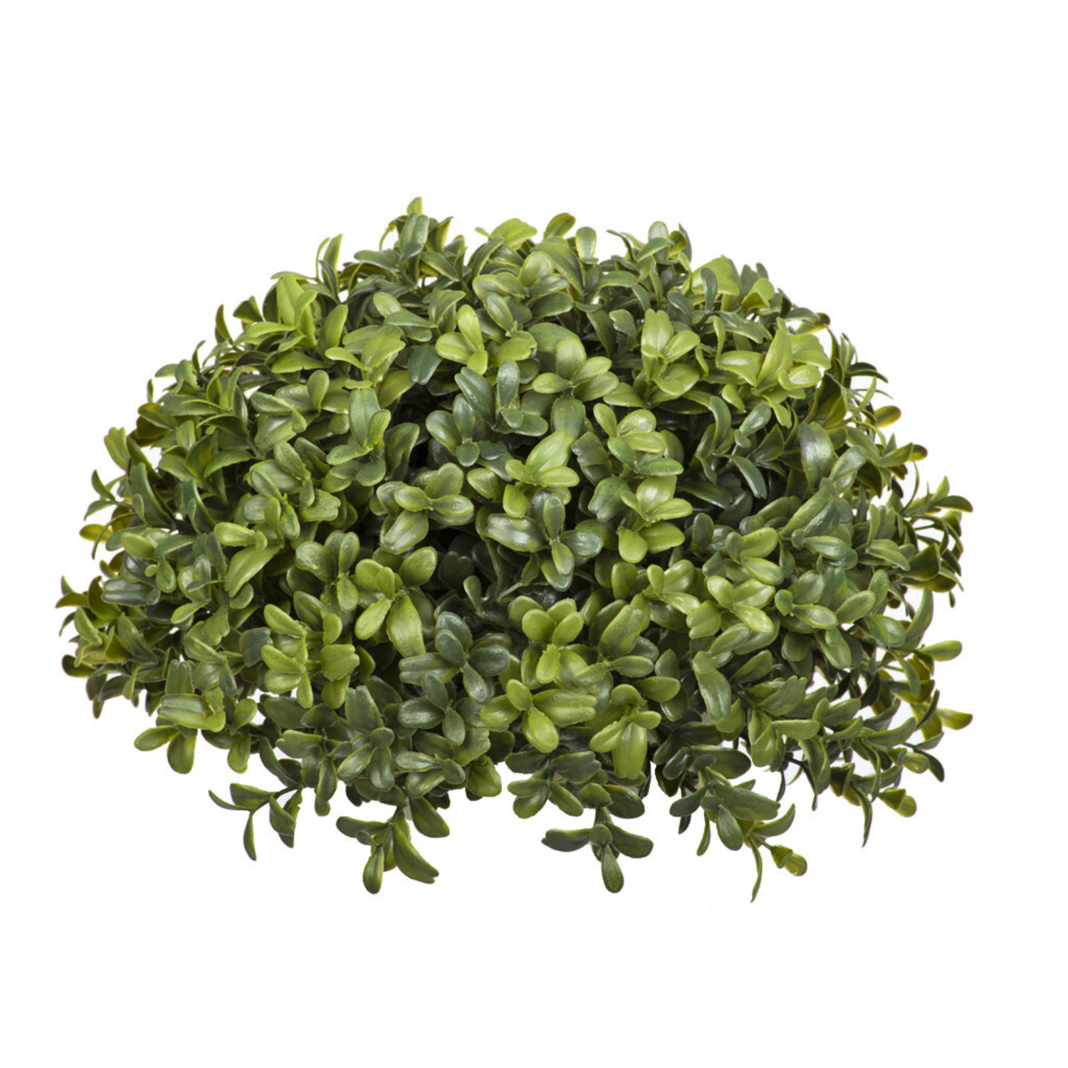 Artificial boxwood ball against a white background