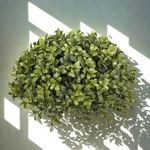 Artificial boxwood ball against a white background with diffused lighting