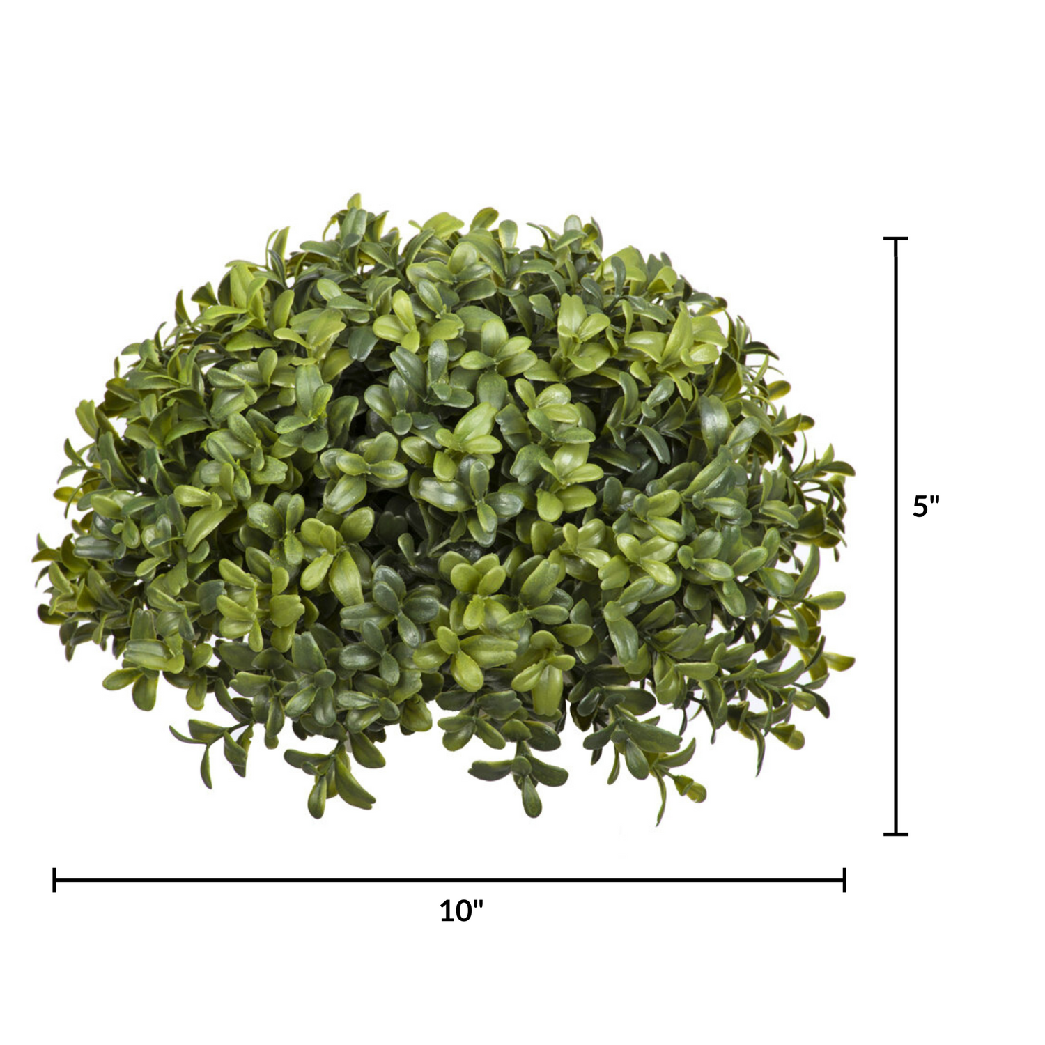 Artificial boxwood ball with dimensions on a white background