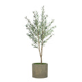 76" Olive Tree in Cement Gray Ceramic