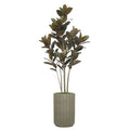 79" Rubber Tree in Cement Gray Ceramic
