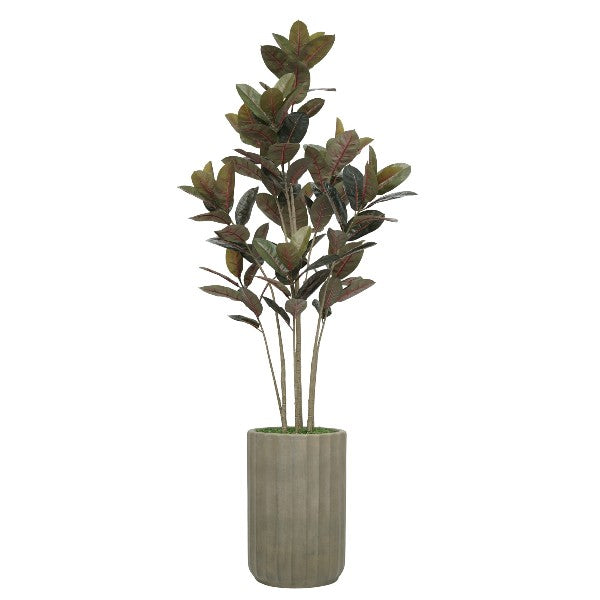 79" Rubber Tree in Cement Gray Ceramic