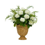 42" White Hydrangea Bush in Natural Hyacinth Basket