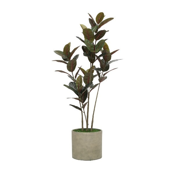58" Rubber Tree in Cement Gray Ceramic